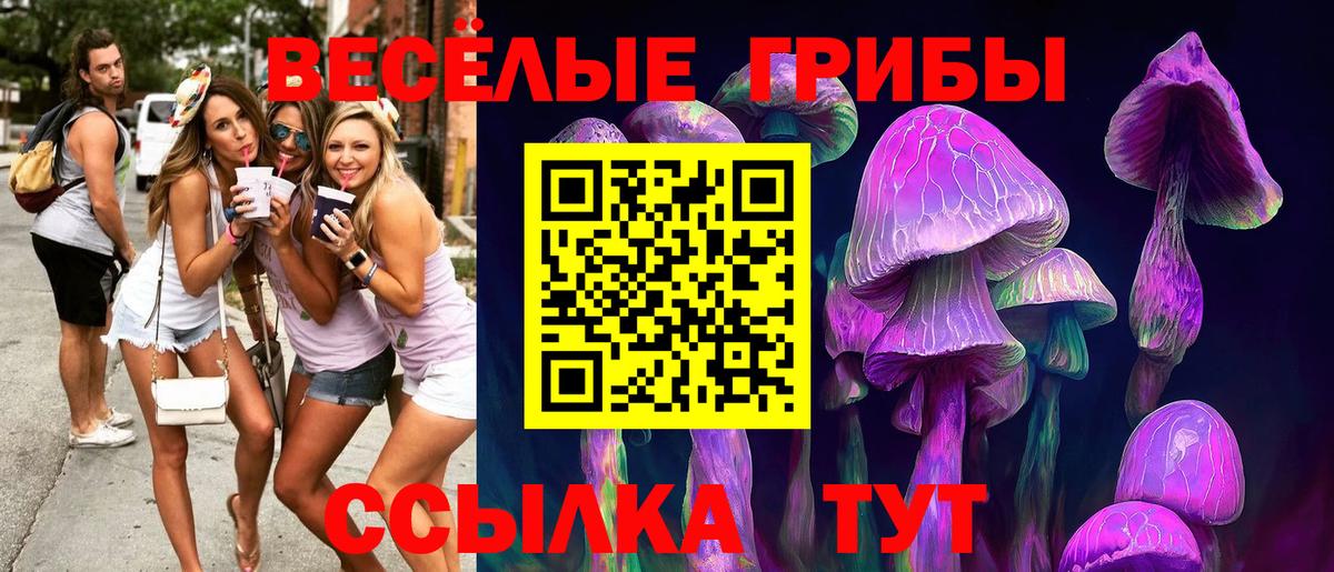 Псилоцибиновые грибы прущие грибы Коряжма