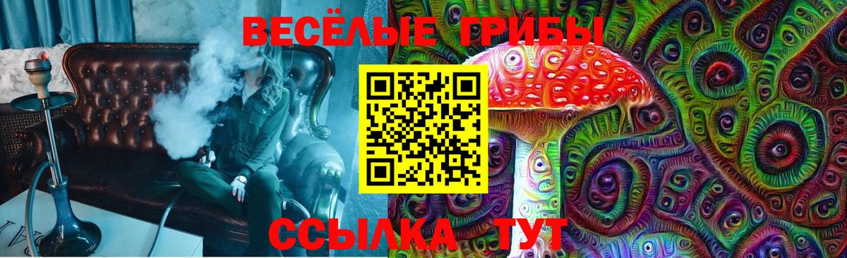 Коряжма  Псилоцибиновые грибы Magic Shrooms  Вход с VPN 